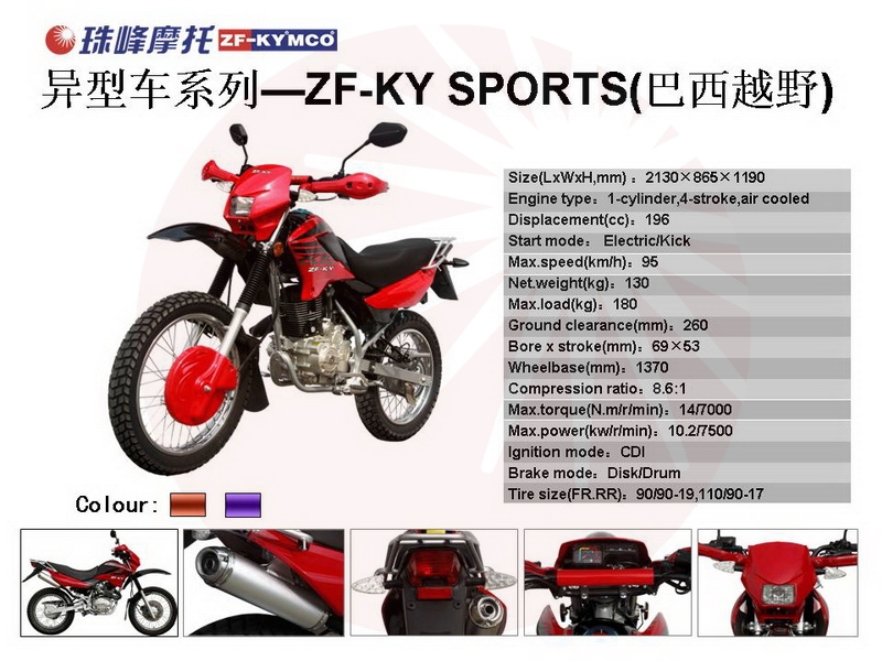 zf-ky(sports)