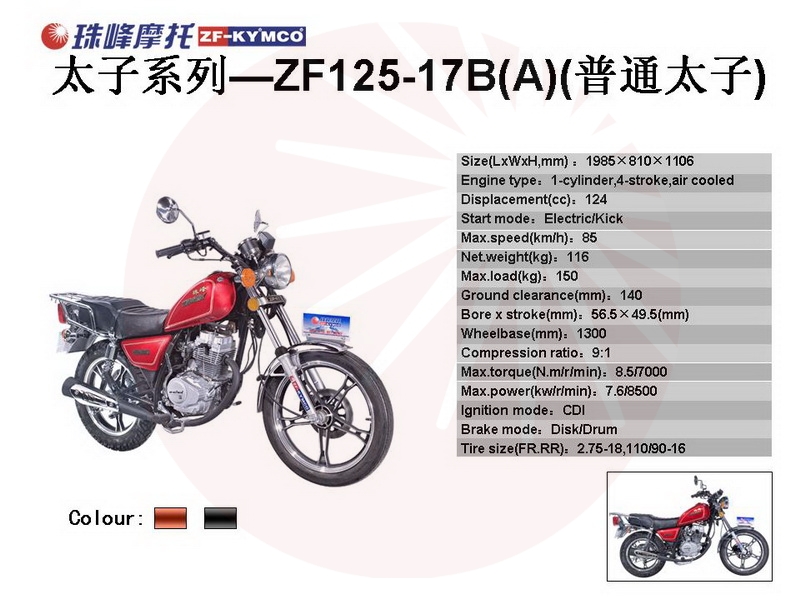 zf125-17b(a)